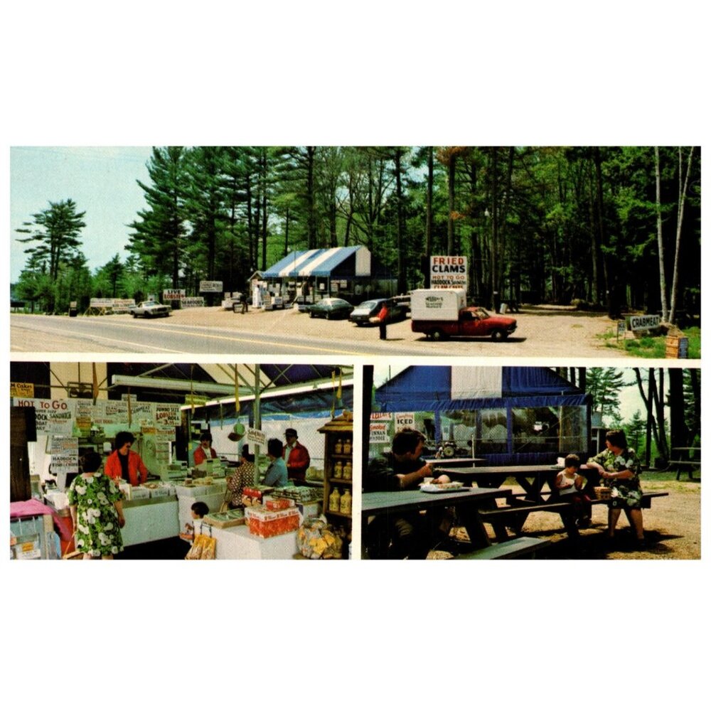 Postcard Chrome era Mclellan's Inc est 1973 Coastal Route 1 Edgecomb Maine